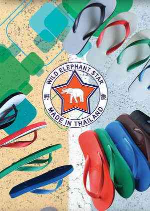 Elephant Star Slippers