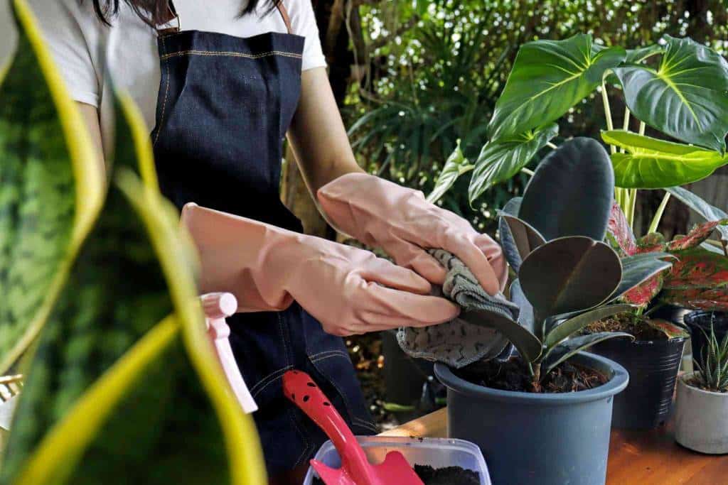 Green Flip Flops Made Of Natural Rubber