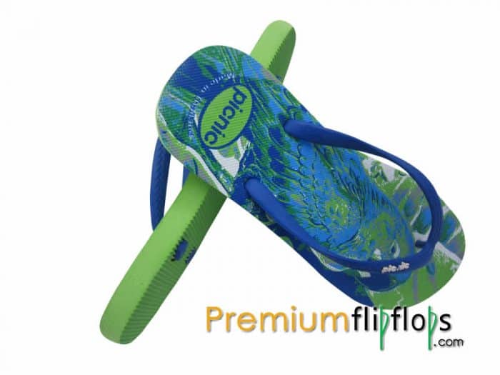 Blue-Rumped Parrot Picnic Screen Print Natural Rubber Slippers -Grey And Blue - Image 2